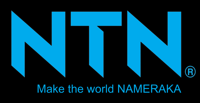 NTN Logo